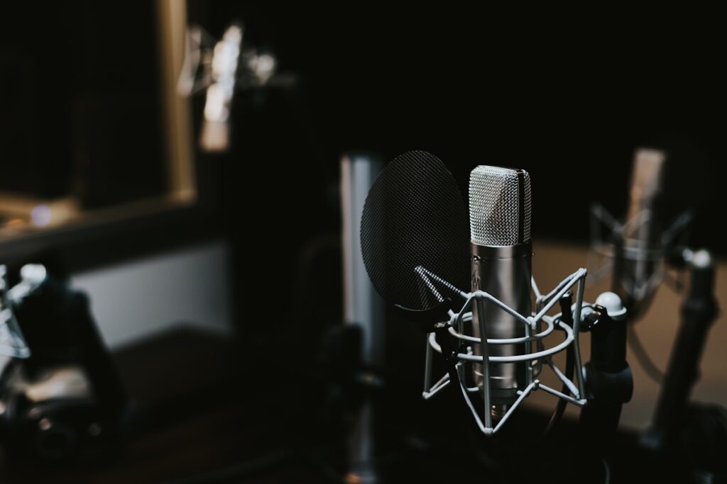Professional broadcast studio microphone